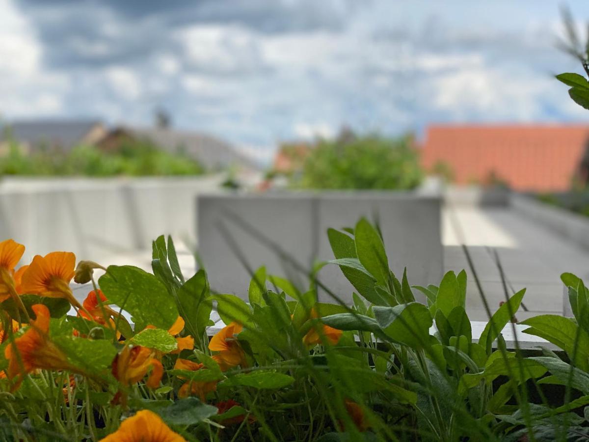Berdorfer Eck Bed & Breakfast ภายนอก รูปภาพ